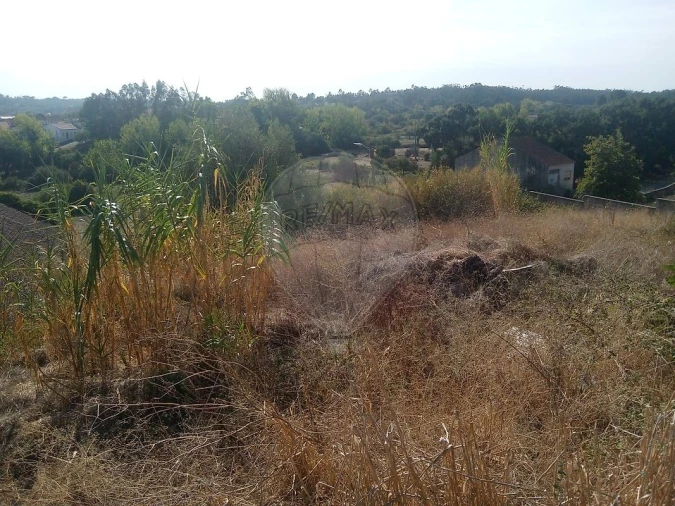 Moradia T3 para Venda em Arneiro das Milhariças Foto 4