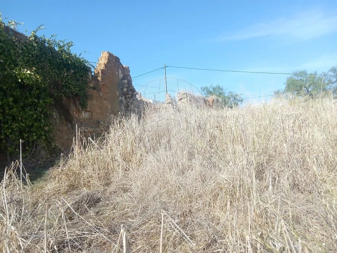 Moradia T3 para Venda em Arneiro das Milhariças Foto 2