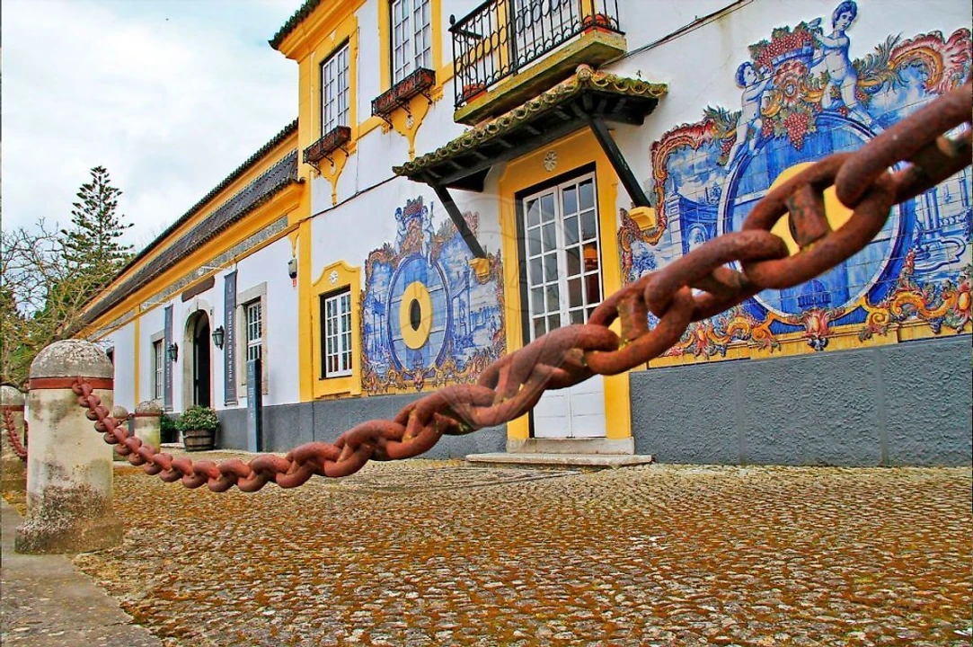 Moradia T3 para Venda em Azeitão (São Lourenço e São Simão) Foto 45
