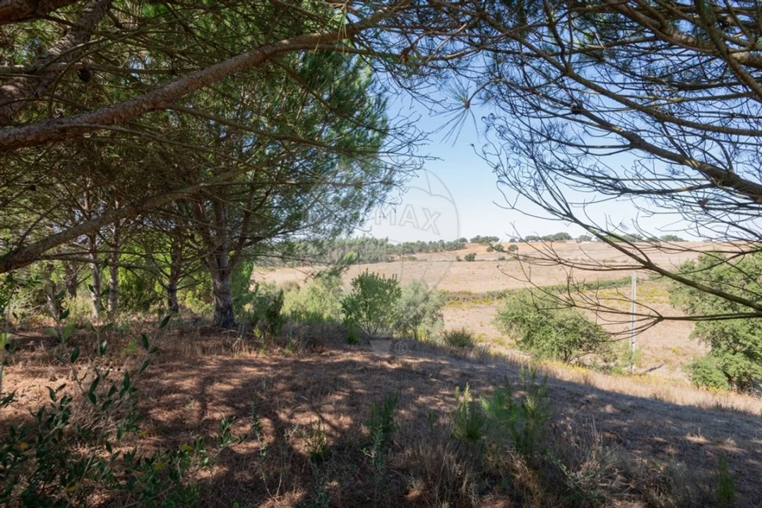 Quinta T3 para Venda em São Teotónio Foto 45