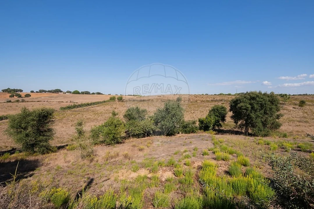 Quinta T3 para Venda em São Teotónio Foto 44