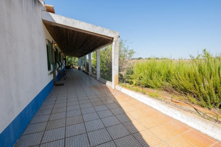 Quinta T3 para Venda em São Teotónio Foto 22