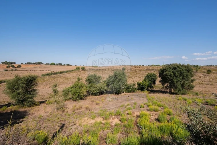 Quinta T3 para Venda em São Teotónio Foto 44