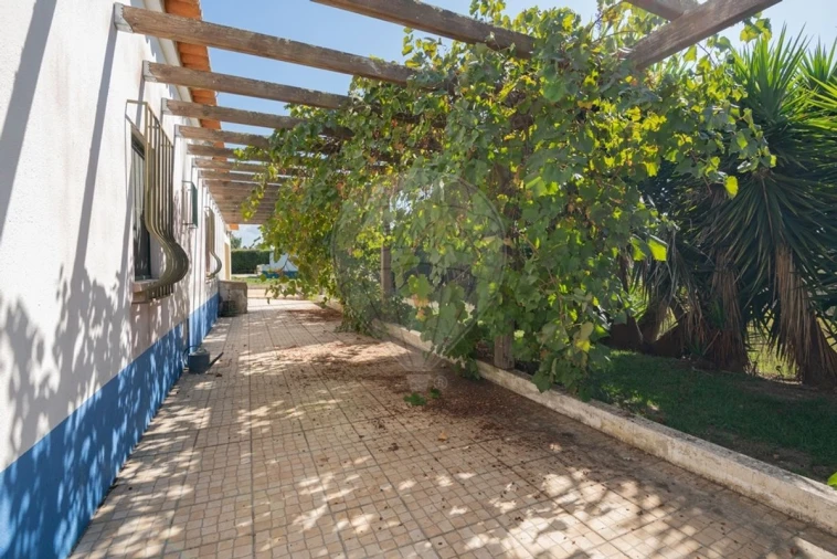 Quinta T3 para Venda em São Teotónio Foto 23