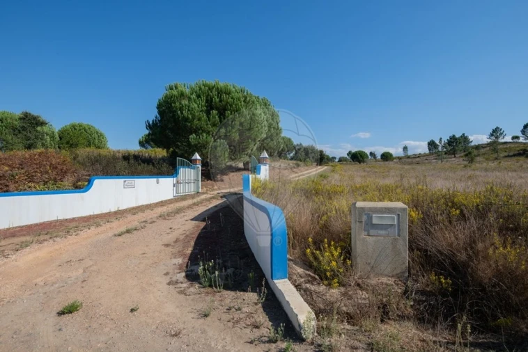 Quinta T3 para Venda em São Teotónio Foto 49