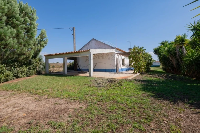 Quinta T3 para Venda em São Teotónio Foto 26