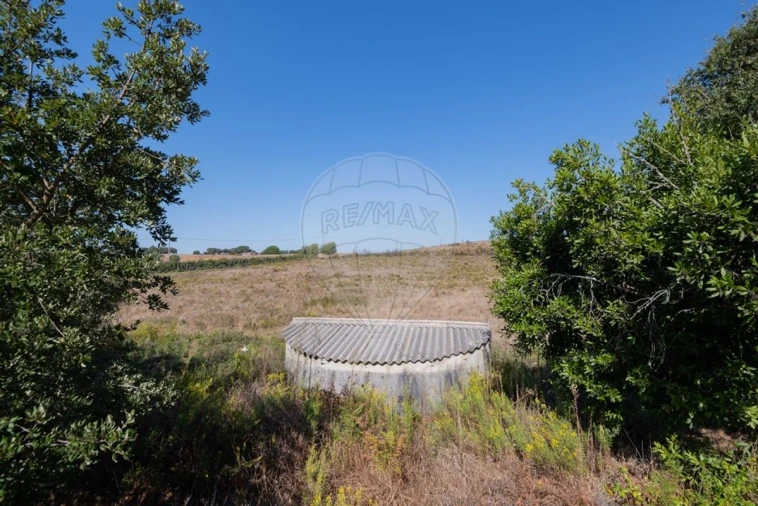 Quinta T3 para Venda em São Teotónio Foto 48