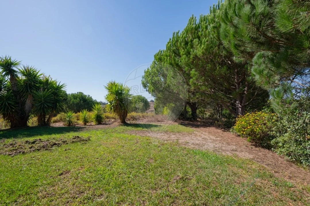 Quinta T3 para Venda em São Teotónio Foto 41