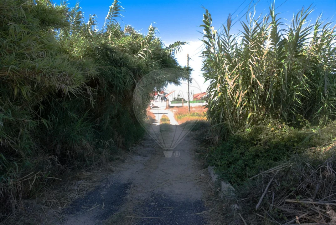Terreno para Venda em Atalaia e Alto Estanqueiro-Jardia Foto 18
