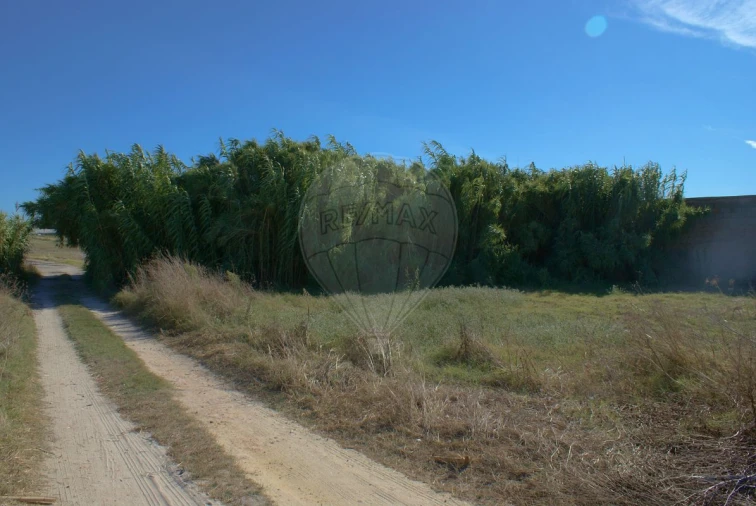 Terreno para Venda em Atalaia e Alto Estanqueiro-Jardia Foto 13