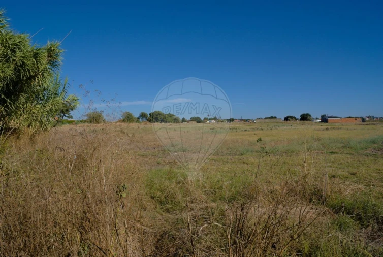 Terreno para Venda em Atalaia e Alto Estanqueiro-Jardia Foto 9