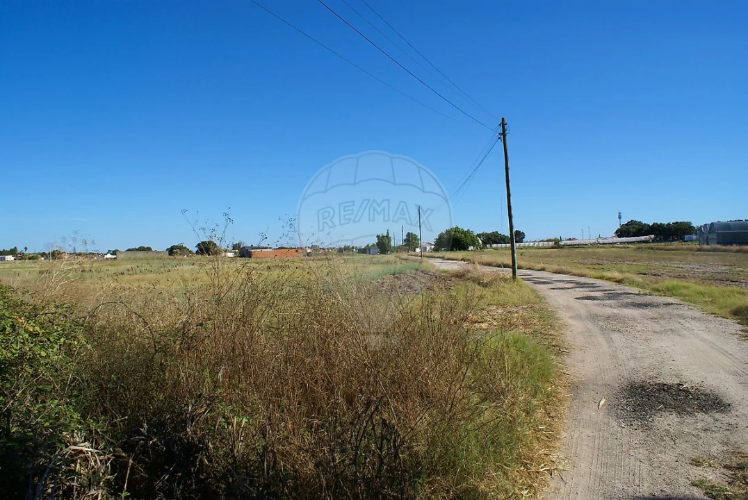 Terreno para Venda em Atalaia e Alto Estanqueiro-Jardia Foto 6