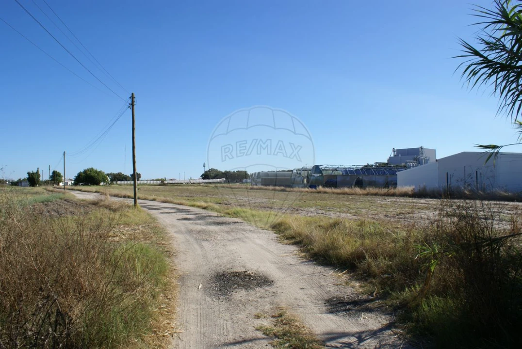Terreno para Venda em Atalaia e Alto Estanqueiro-Jardia Foto 14