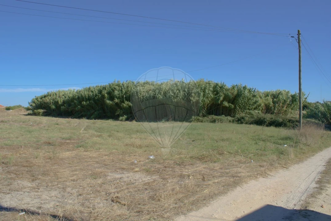 Terreno para Venda em Atalaia e Alto Estanqueiro-Jardia Foto 5