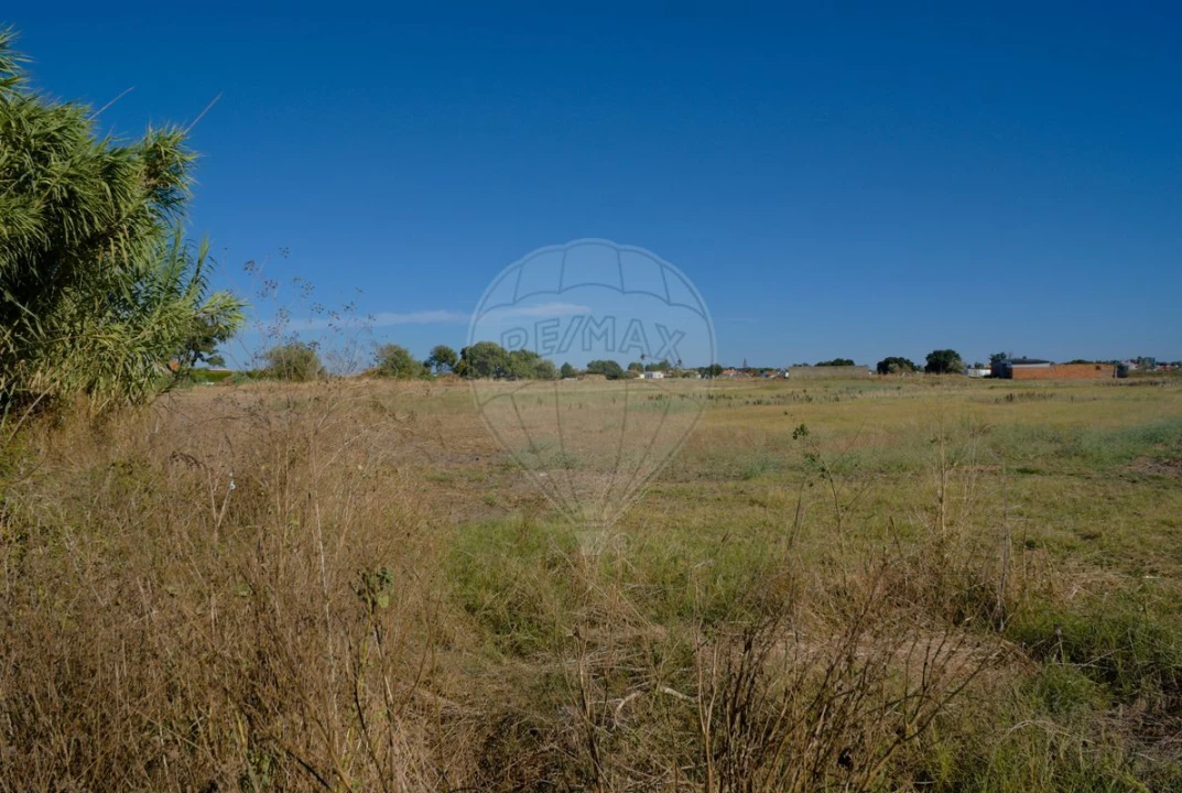 Terreno para Venda em Atalaia e Alto Estanqueiro-Jardia Foto 9