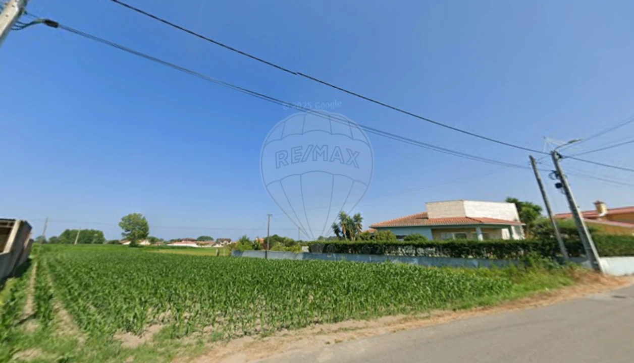 Terreno para Venda em Bunheiro Foto 2