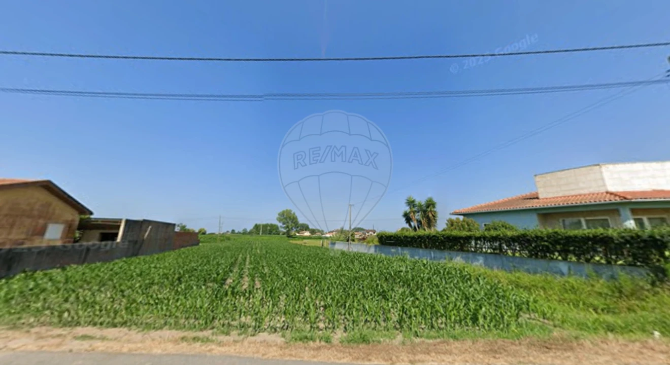 Terreno para Venda em Bunheiro Foto 3