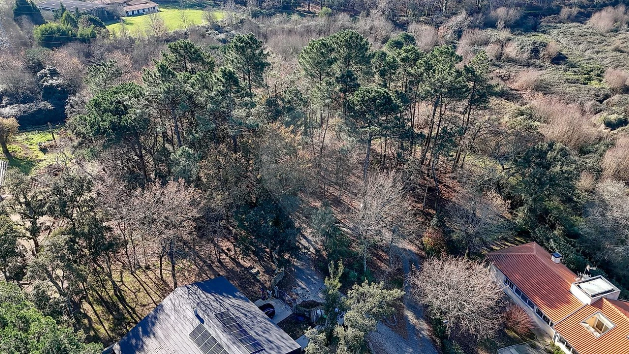Terreno para Venda em Pedroso e Seixezelo Foto 7