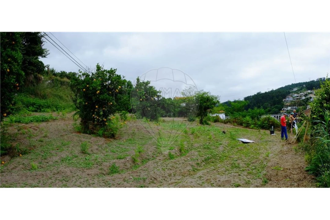Terreno para Venda em Eja Foto 14