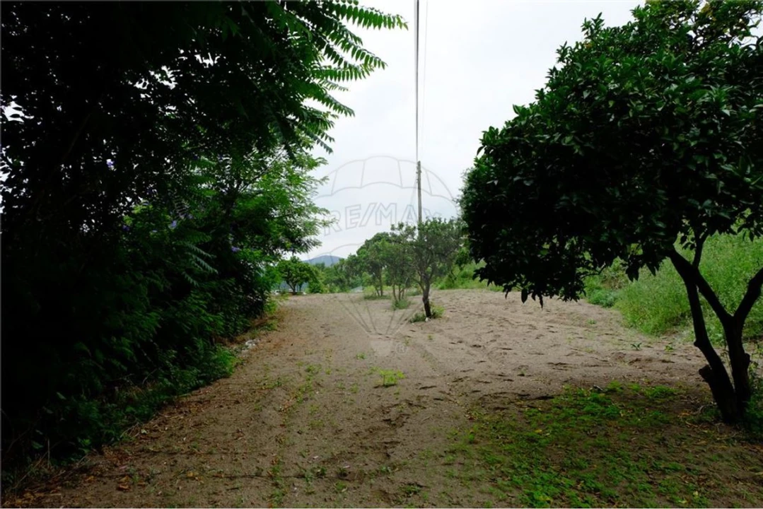 Terreno para Venda em Eja Foto 13