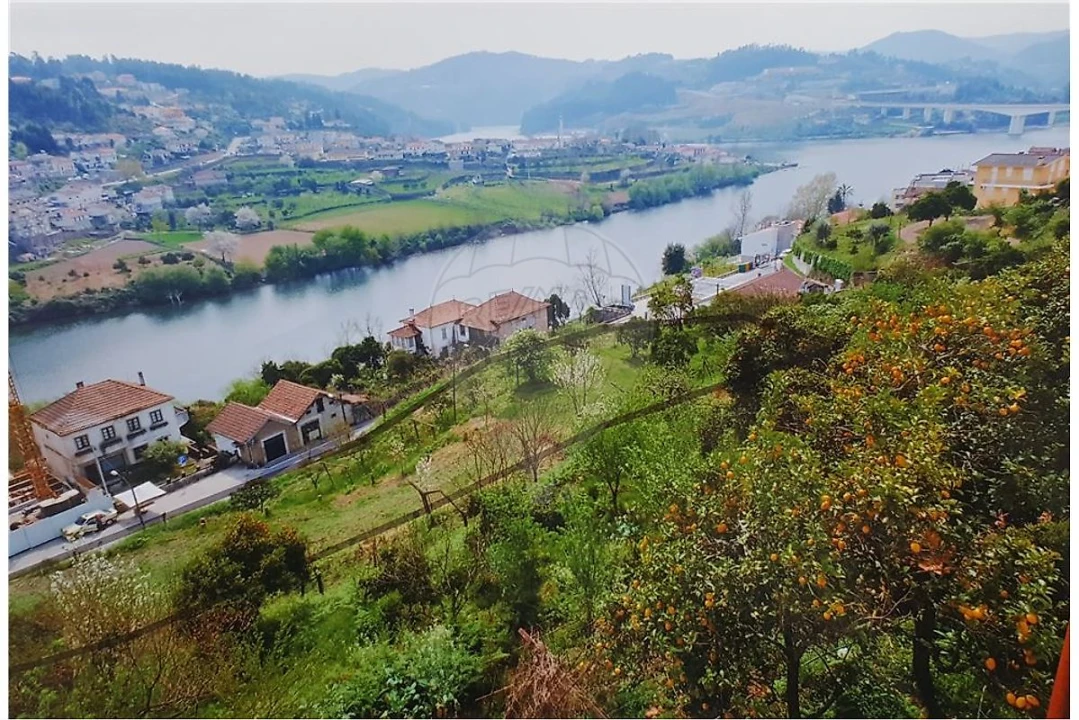 Terreno para Venda em Eja Foto 7
