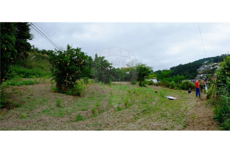 Terreno para Venda em Eja Foto 14