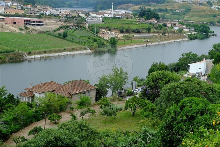 Terreno para Venda em Eja Foto 20