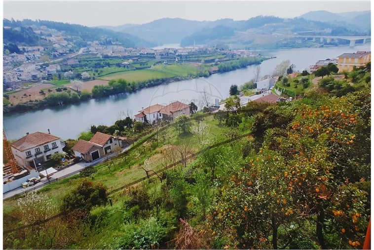 Terreno para Venda em Eja Foto 7