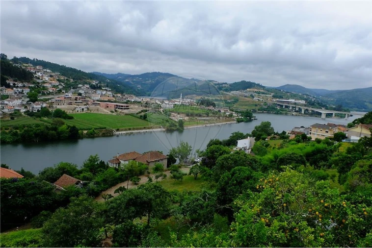 Terreno para Venda em Eja Foto 2