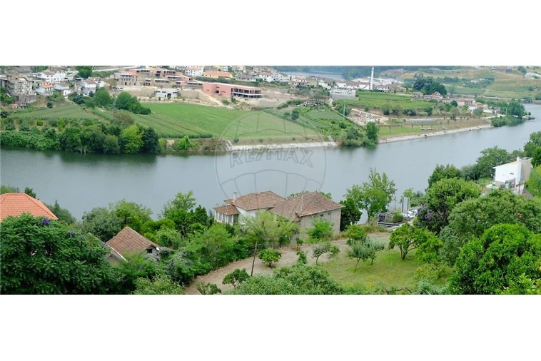 Terreno para Venda em Eja Foto 18