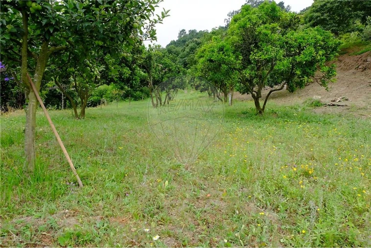 Terreno para Venda em Eja Foto 15