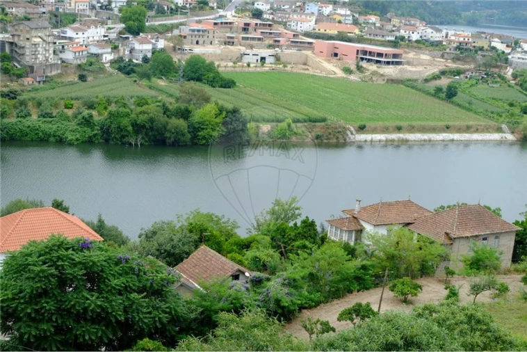 Terreno para Venda em Eja Foto 23