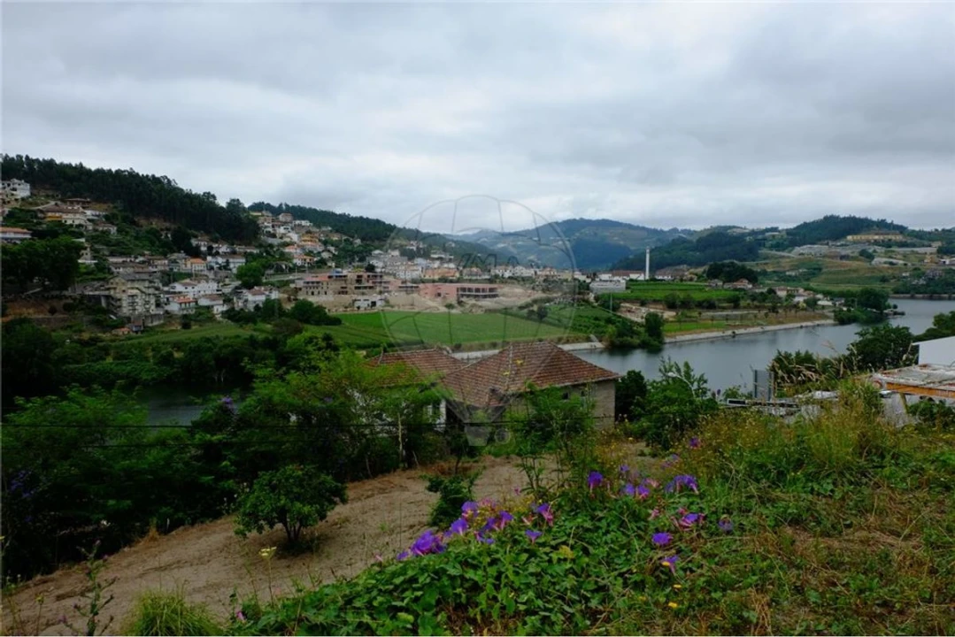 Terreno para Venda em Eja Foto 19