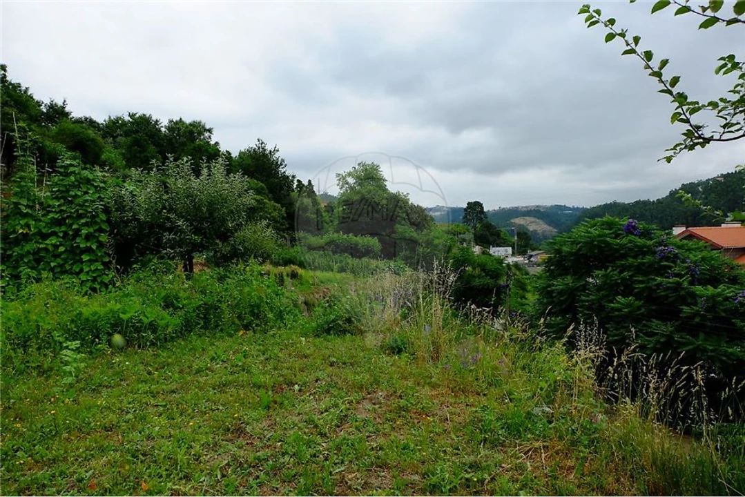 Terreno para Venda em Eja Foto 16