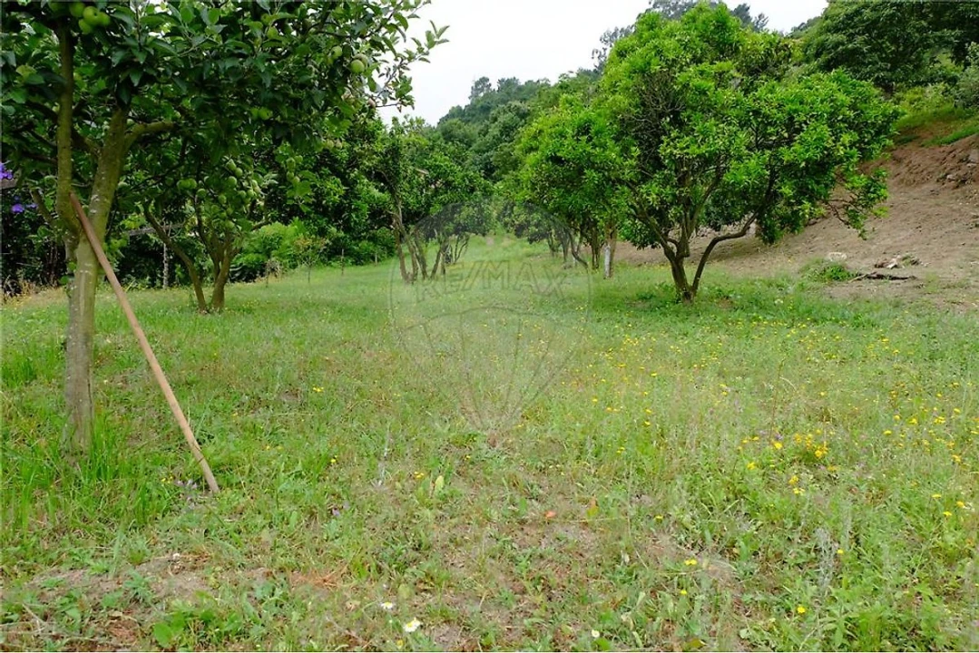 Terreno para Venda em Eja Foto 15