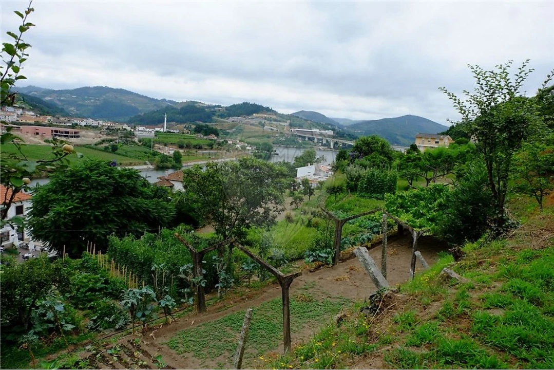 Terreno para Venda em Eja Foto 21