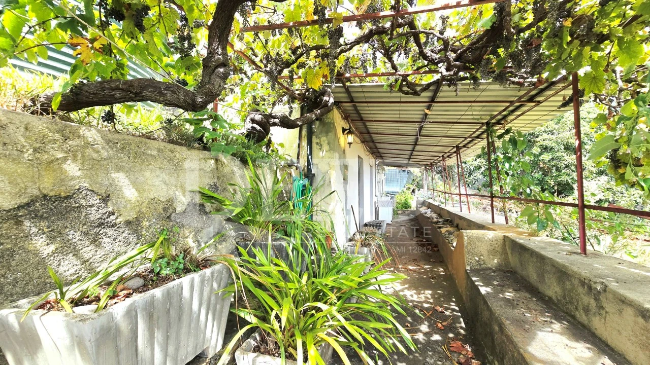 Moradia T2 para Venda em Ponta do Sol Foto 3