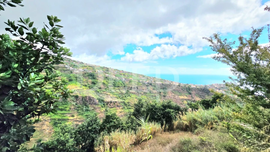 Moradia T2 para Venda em Ponta do Sol