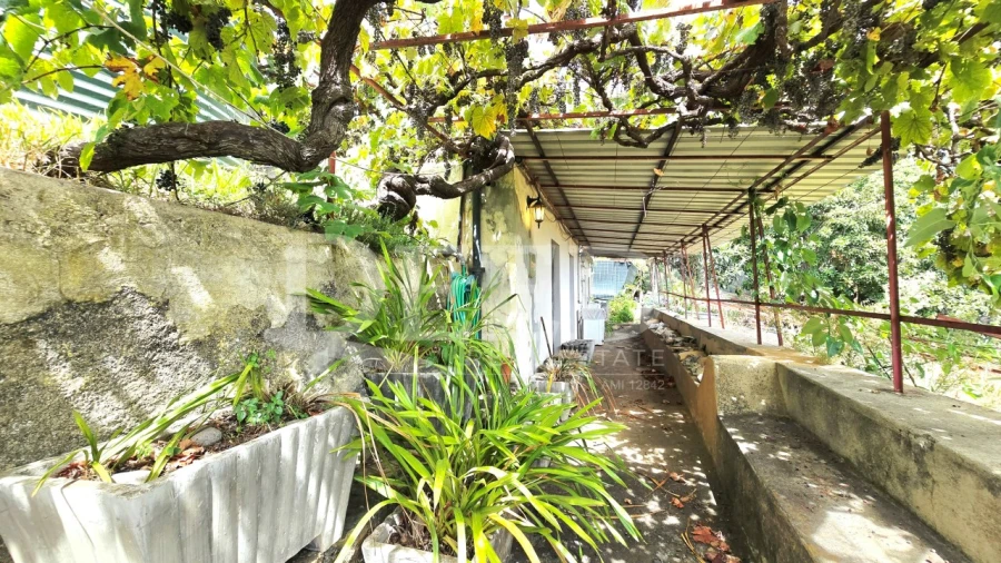 Moradia T2 para Venda em Ponta do Sol Foto 3