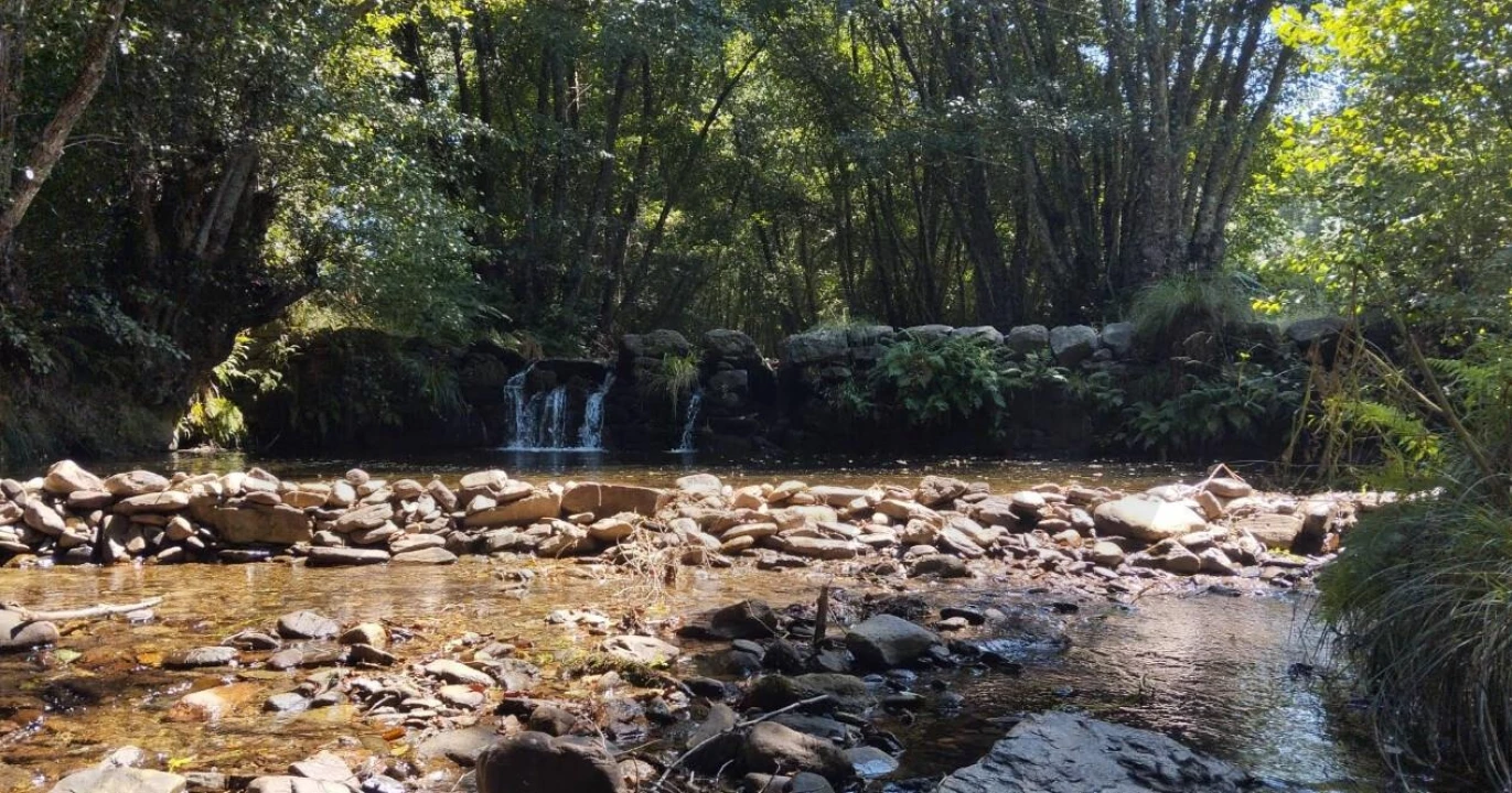 Terreno para Venda em Souto da Casa Foto 5