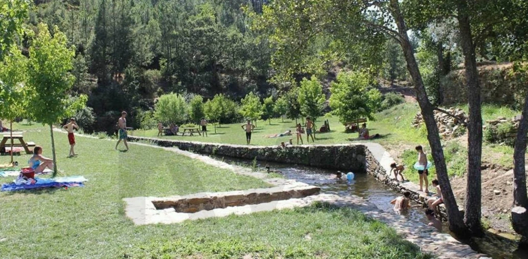 Terreno para Venda em Souto da Casa Foto 4