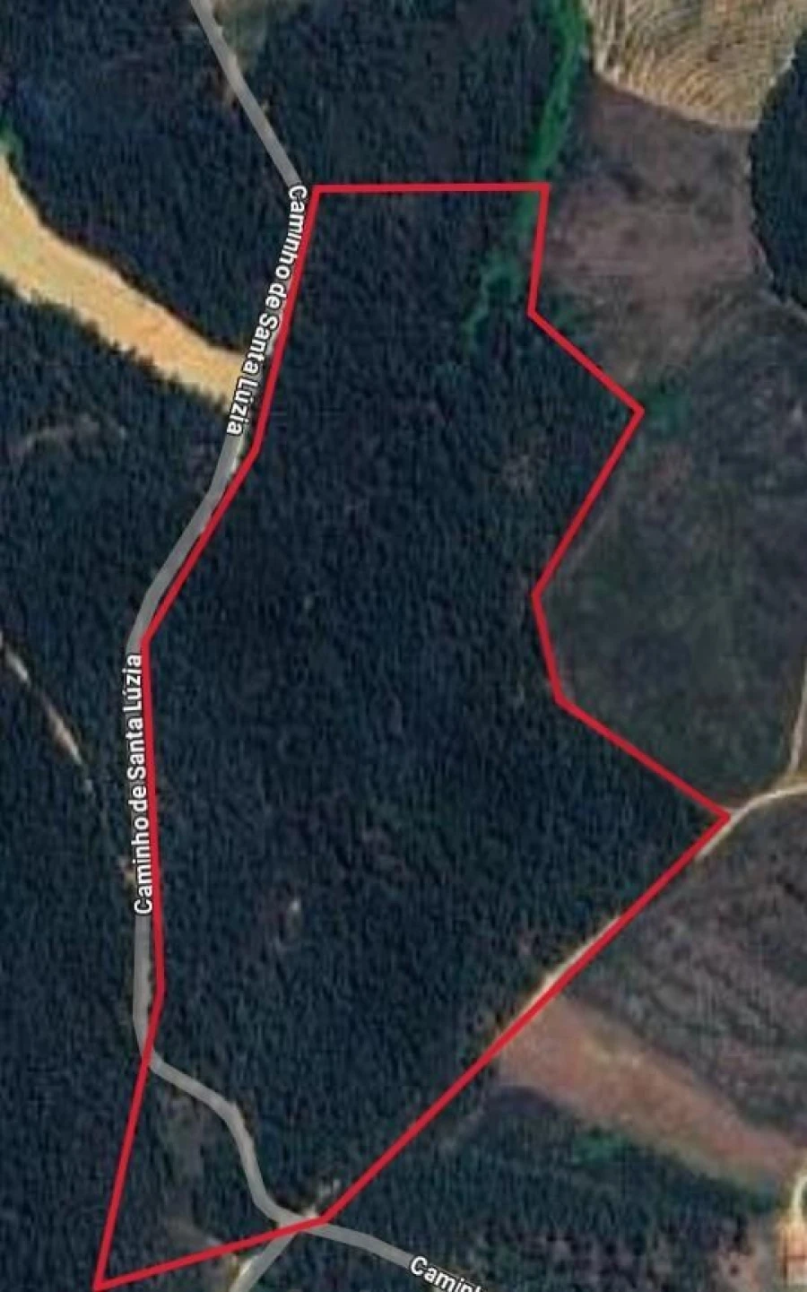 Terreno para Venda em Souto da Casa Foto 10