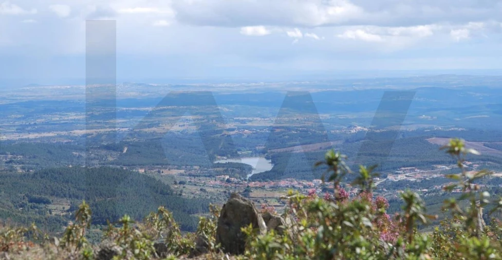 Terreno para Venda em Souto da Casa