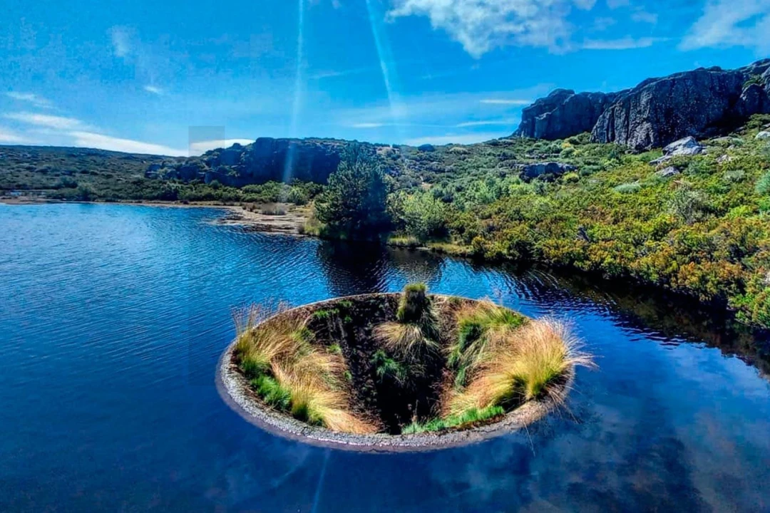 Terreno para Venda em Souto da Casa Foto 7
