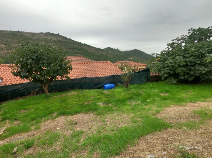 Moradia T3 para Venda em Pinheiros e Vale de Figueira Foto 5