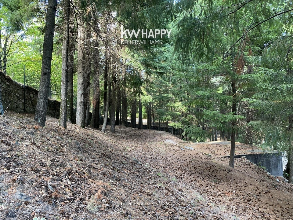 Quinta T5 para Venda em Manteigas (São Pedro) Foto 43