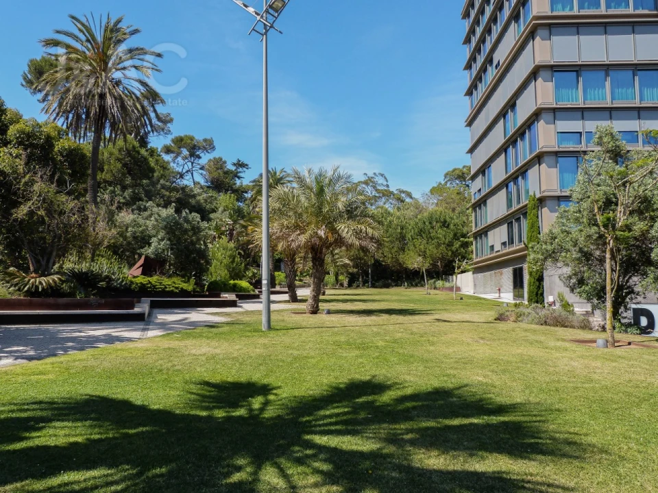 Loja para Arrendamento em Cascais e Estoril Foto 11