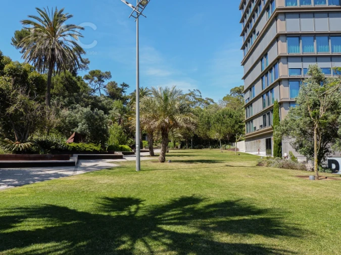 Loja para Arrendamento em Cascais e Estoril Foto 11