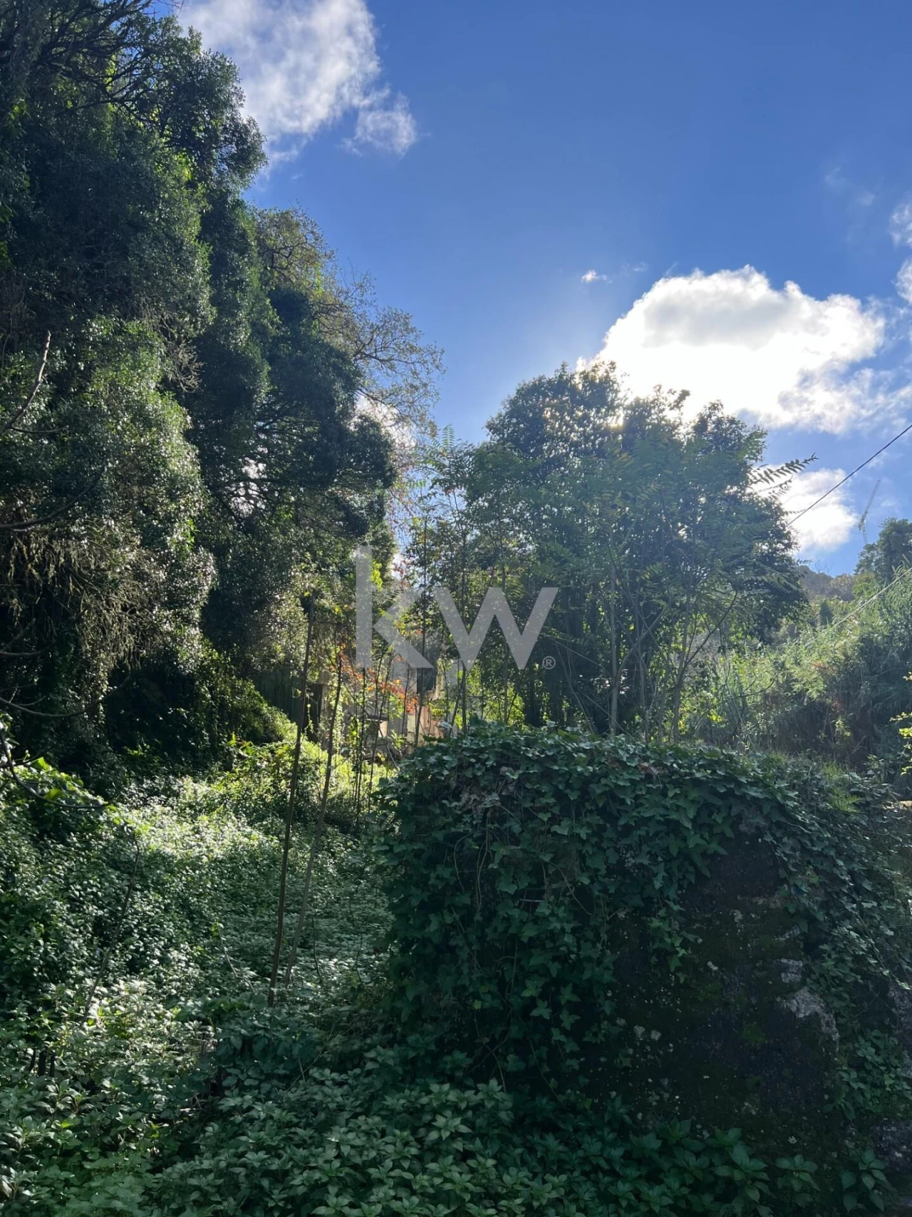 Terreno para Venda em Agualva e Mira-Sintra Foto 4