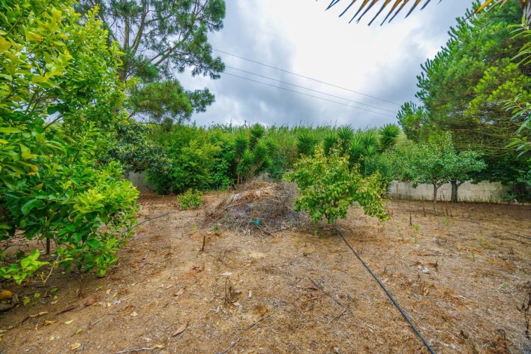 Moradia T4 para Venda em Nossa Senhora do Pópulo, Coto e São Gregório Foto 33